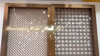 धातु सजावटी जाल का वास्तविक शूटिंग वीडियो